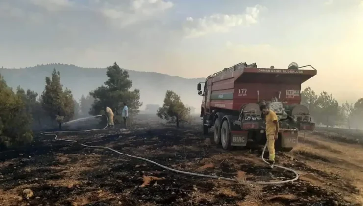 Denizli Çivril’de Orman Yangını