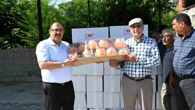 Denizli’de Ayvada Kalıntı Eylem Planı Uygulaması Başladı