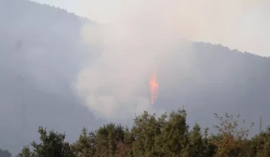 Denizli’deki Orman Yangını 5. Gününde Sürüyor