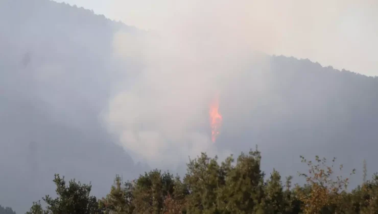 Denizli’deki Orman Yangını 5. Gününde Sürüyor